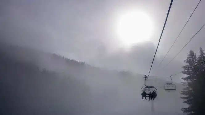 Skiing and snowboarding in the trees around Montchavin, La Plagne
