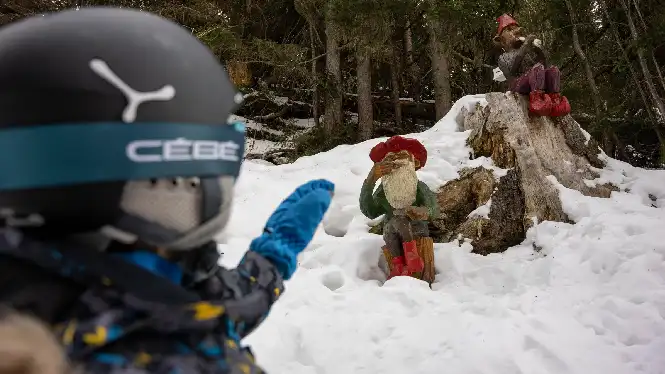 Lutins piste below the Montalbert webcam at Le Fornelet