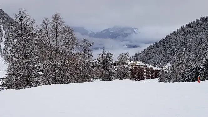 trees on the runs down to Plagne Bellecôte