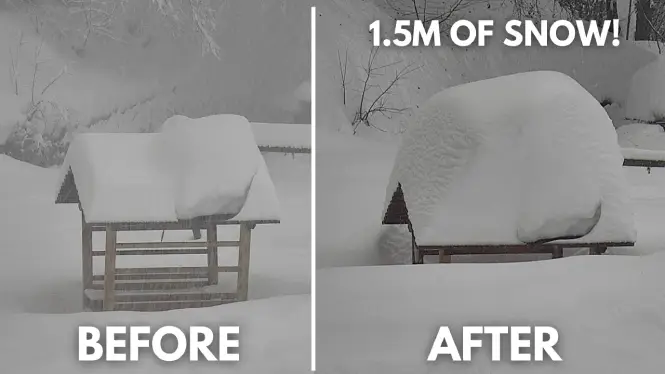 alps-snow-report-la-plagne-19.03.26.webp