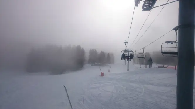 Tree pistes in La Plagne in bad weather